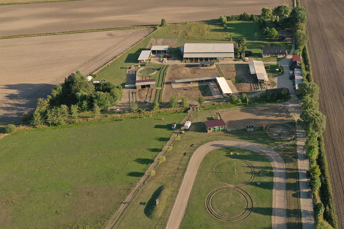 Reiter & Pferd - Reiterhof für Islandpferde in Kremmen | Foto: @Luftspot